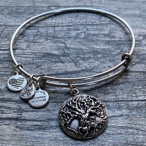 Alex and Ani Tree of Life charm bracelet